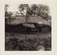 Image0004